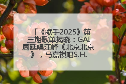 《歌手2025》第三期歌单揭晓：GAI周延唱汪峰《北京北京》，马嘉祺唱S.H.E《你曾是少年》