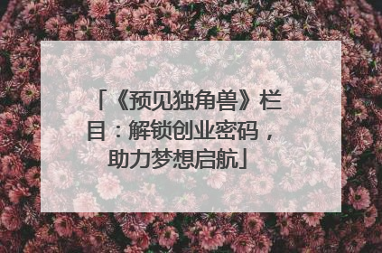《预见独角兽》栏目：解锁创业密码，助力梦想启航