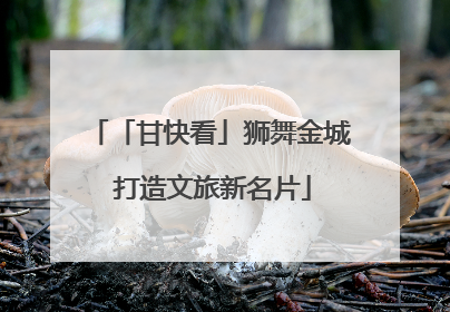 「甘快看」狮舞金城 打造文旅新名片
