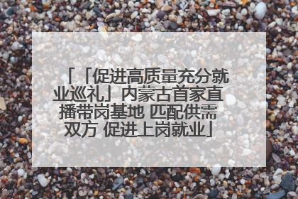 「促进高质量充分就业巡礼」内蒙古首家直播带岗基地 匹配供需双方 促进上岗就业