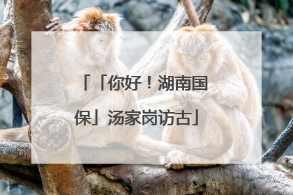 「你好！湖南国保」汤家岗访古
