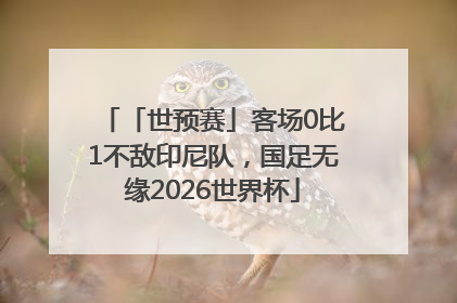 「世预赛」客场0比1不敌印尼队，国足无缘2026世界杯