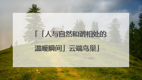「人与自然和谐相处的温暖瞬间」云端鸟巢