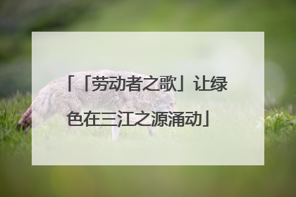 「劳动者之歌」让绿色在三江之源涌动
