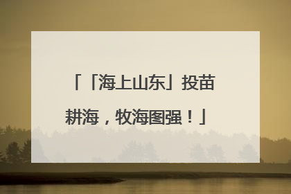 「海上山东」投苗耕海，牧海图强！