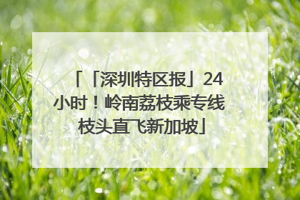 「深圳特区报」24小时！岭南荔枝乘专线 枝头直飞新加坡