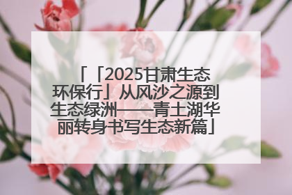 「2025甘肃生态环保行」从风沙之源到生态绿洲——青土湖华丽转身书写生态新篇