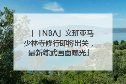 「NBA」文班亚马少林寺修行即将出关，最新练武画面曝光