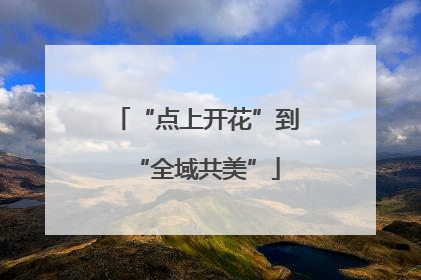 “点上开花”到“全域共美”