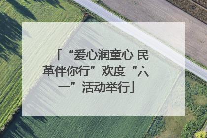 “爱心润童心 民革伴你行”欢度“六一”活动举行