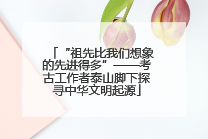 “祖先比我们想象的先进得多”——考古工作者泰山脚下探寻中华文明起源