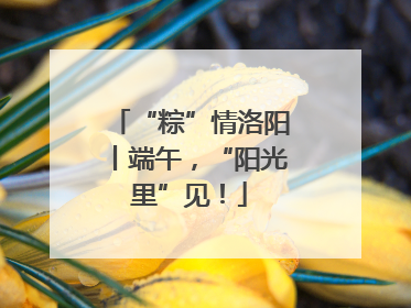 “粽”情洛阳丨端午，“阳光里”见！