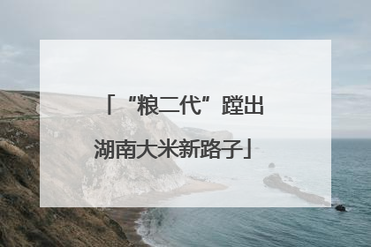 “粮二代”蹚出湖南大米新路子