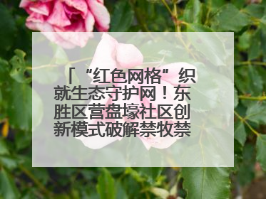 “红色网格”织就生态守护网！东胜区营盘壕社区创新模式破解禁牧禁垦难题