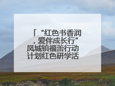 “红色书香润，爱伴成长行”凤城镇福蕾行动计划红色研学活动圆满结束