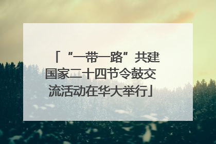 “一带一路”共建国家二十四节令鼓交流活动在华大举行
