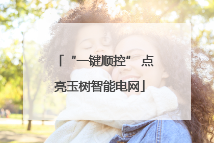“一键顺控” 点亮玉树智能电网
