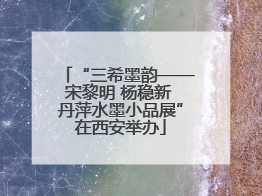 “三希墨韵——宋黎明 杨稳新 丹萍水墨小品展”在西安举办
