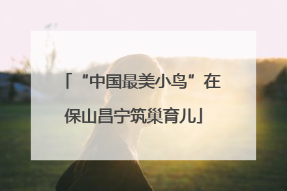 “中国最美小鸟”在保山昌宁筑巢育儿