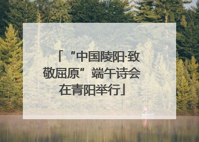 “中国陵阳·致敬屈原”端午诗会在青阳举行