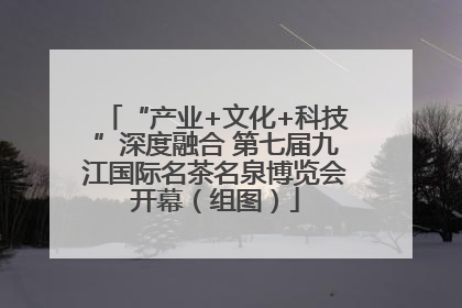 “产业+文化+科技”深度融合 第七届九江国际名茶名泉博览会开幕（组图）