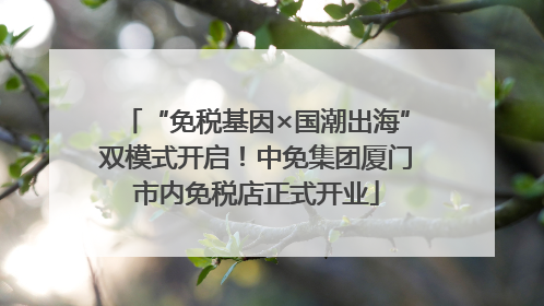“免税基因×国潮出海”双模式开启！中免集团厦门市内免税店正式开业