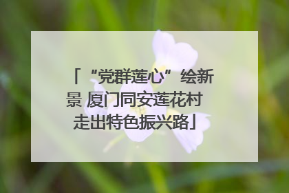 “党群莲心”绘新景 厦门同安莲花村走出特色振兴路