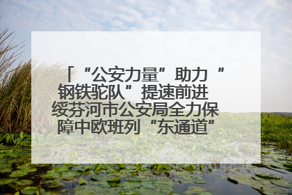 “公安力量”助力“钢铁驼队”提速前进 绥芬河市公安局全力保障中欧班列“东通道”绥芬河隧道贯通