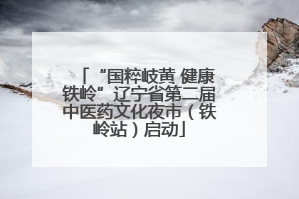 “国粹岐黄 健康铁岭”辽宁省第二届中医药文化夜市（铁岭站）启动