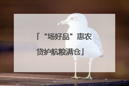 “场好品”惠农贷护航粮满仓