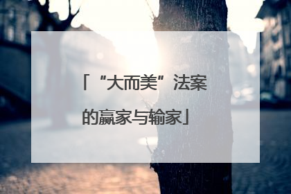 “大而美”法案的赢家与输家