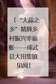 “大蒜之乡”精算乡村振兴幸福账——成武县大田集镇见闻