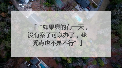“如果真的有一天，没有案子可以办了，我秃点也不是不行”