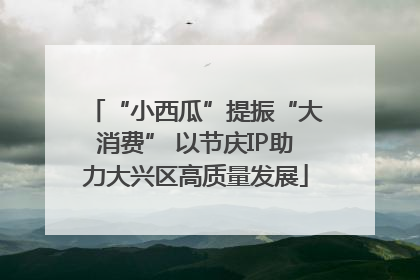 “小西瓜”提振“大消费” 以节庆IP助力大兴区高质量发展