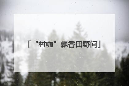 “村咖”飘香田野间