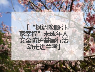 “枫调豫顺·汴家幸福”未成年人安全防护基层行活动走进兰考