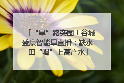 “旱”路突围！谷城盛康智能旱直播：缺水田“喝”上高产水