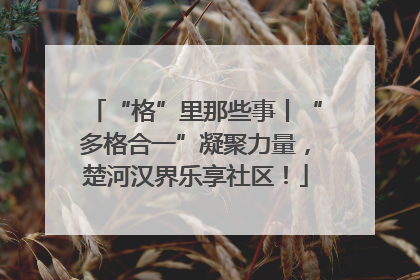 “格”里那些事丨“多格合一”凝聚力量，楚河汉界乐享社区！