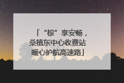 “棕”享安畅，桑植东中心收费站暖心护航高速路