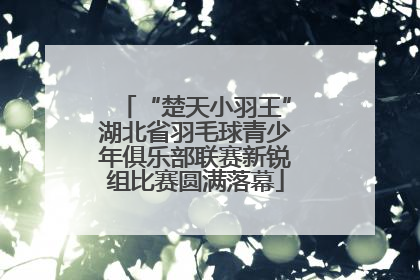 “楚天小羽王”湖北省羽毛球青少年俱乐部联赛新锐组比赛圆满落幕