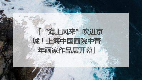 “海上风来”吹进京城！上海中国画院中青年画家作品展开幕