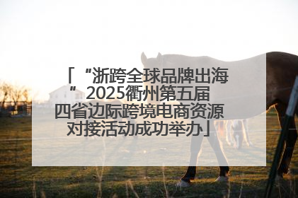 “浙跨全球品牌出海”2025衢州第五届四省边际跨境电商资源对接活动成功举办