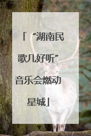 “湖南民歌几好听”音乐会燃动星城
