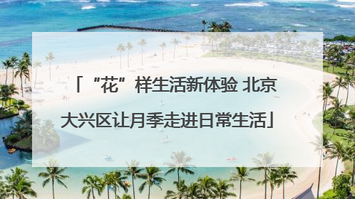 “花”样生活新体验 北京大兴区让月季走进日常生活