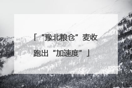 “豫北粮仓”麦收跑出“加速度”