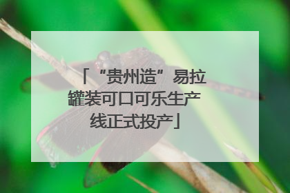 “贵州造”易拉罐装可口可乐生产线正式投产