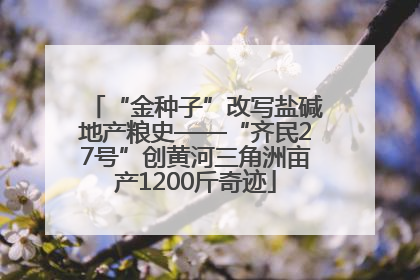 “金种子”改写盐碱地产粮史——“齐民27号”创黄河三角洲亩产1200斤奇迹