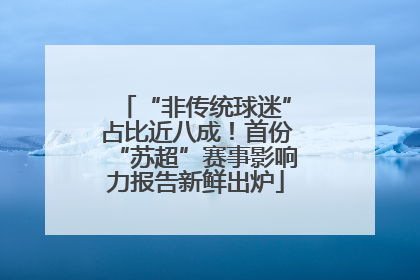 “非传统球迷”占比近八成！首份“苏超”赛事影响力报告新鲜出炉