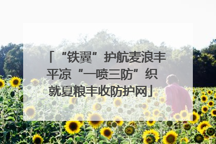 “铁翼”护航麦浪丰 平凉“一喷三防”织就夏粮丰收防护网