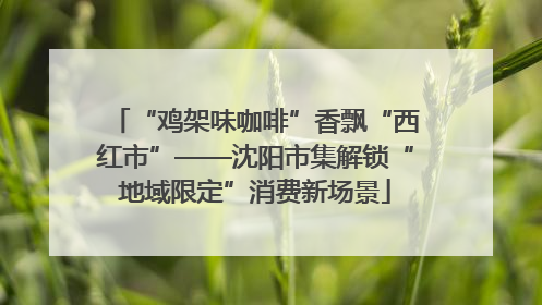 “鸡架味咖啡”香飘“西红市”——沈阳市集解锁“地域限定”消费新场景